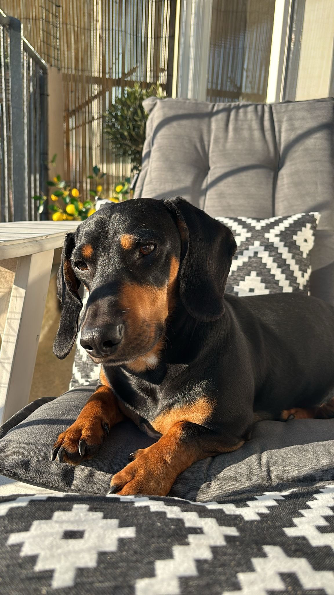 PHOTO-2025-03-19-17-00-23